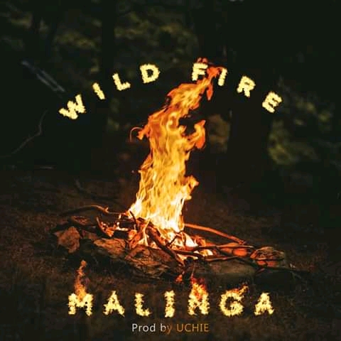 Malinga Mafia-Wild Fire (Prod by Uchie)